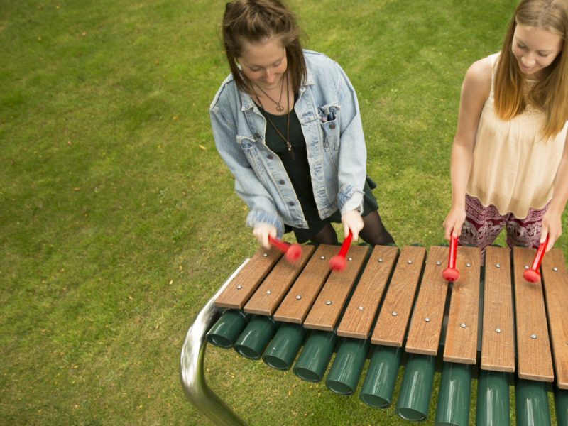 Grand Marimba Music Instrument Instrument (2 girls playing; top view)