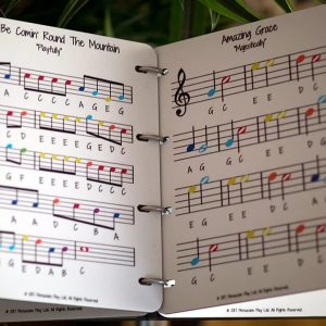 Outdoor Music Book (view 1; close up)