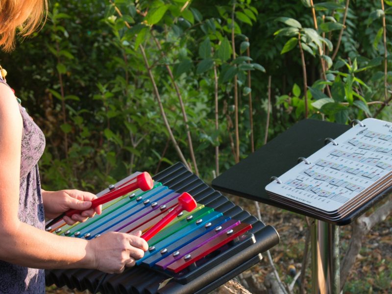 Outdoor Music Book (view 5; woman reading and playing xylophone)