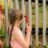 Percussion Play Alto Diatonic Freechimes C4-C5 (2 girls playing)