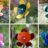 Percussion Play Harmony Flowers (Set of 6)