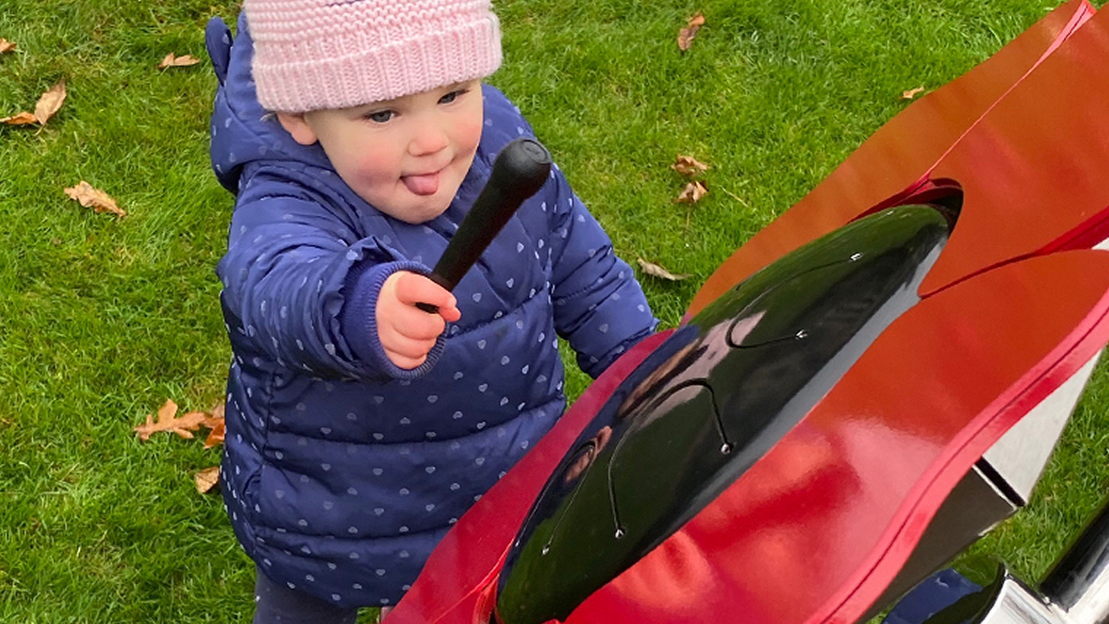 Percussion Play Poppy Petal Drum (small child playing; top view)