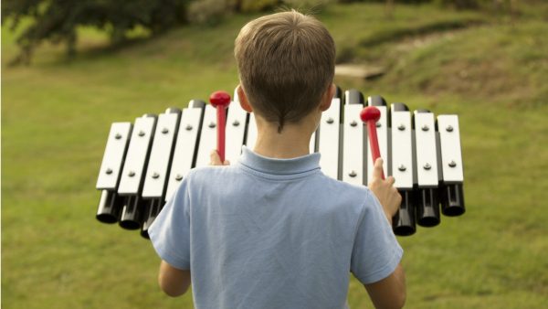 Sansa Rimba Outdoor Music Instrument (1 boy playing; rear view)
