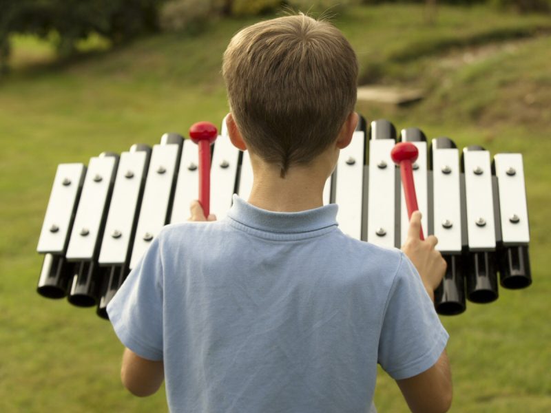 Sansa Rimba Outdoor Music Instrument (1 boy playing; rear view)
